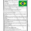 Bandeira do Brasil para Imprimir e Pintar 12