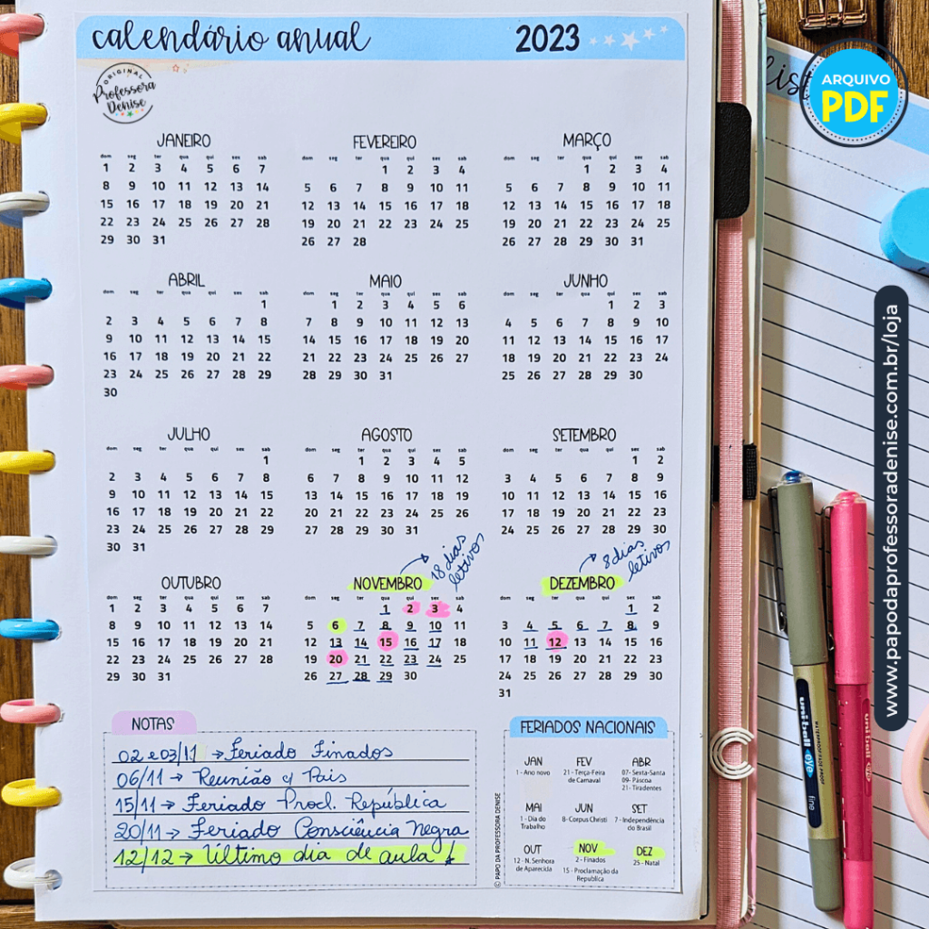 Diário de Planejamento para o fim do ano letivo 6